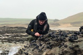 Environment Agency scientists seek new ways to save mussel power