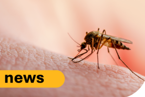 First detection of West Nile virus in UK mosquitoes