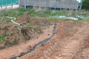 Somerset pig farmer counts the cost of slurry pollution