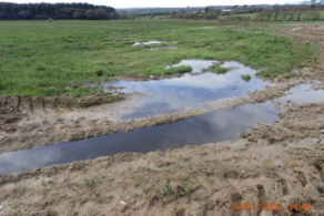 UK farmer convicted after slurry spill kills hundreds of fish