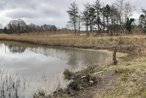 Major oil spill in Poole Harbour costs company heavily