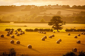 New fertiliser regulations to back British farmers, cut pollution
