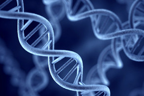 People with chronic fatigue syndrome to benefit from world-first genomics study