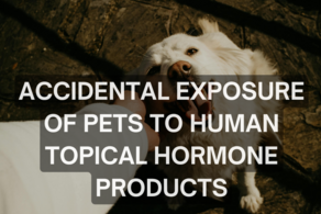 Pet owners warned of risks to pets from accidental exposure
