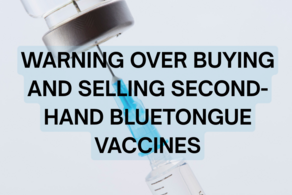 UK Issues Warning Over Illegal Trading of BTV-3 Vaccines Online